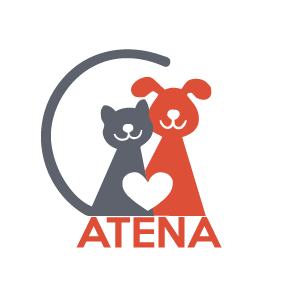 Logo-Atena-Def