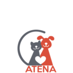 Logo-Atena