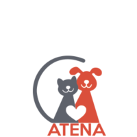 Logo-Atena