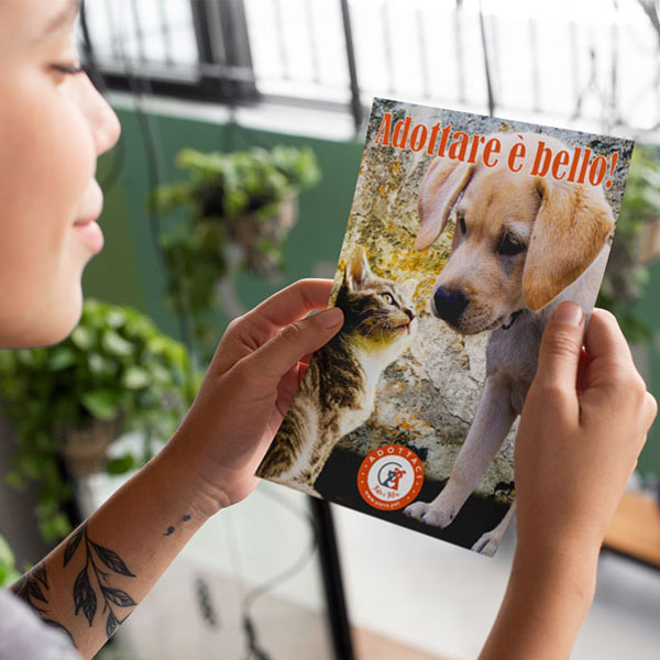 Progettazione grafica volantino Atena Pet