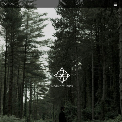 Realizzazione nuovo sito web per Norne Studios